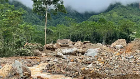 forest, rocks, typhoon, water, muddy area