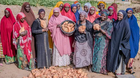 Women farmers in Nigeria hold their sweet potato harvest, improving nutrition and strengthening food security through CARE Netherlands’ CASCADE project.