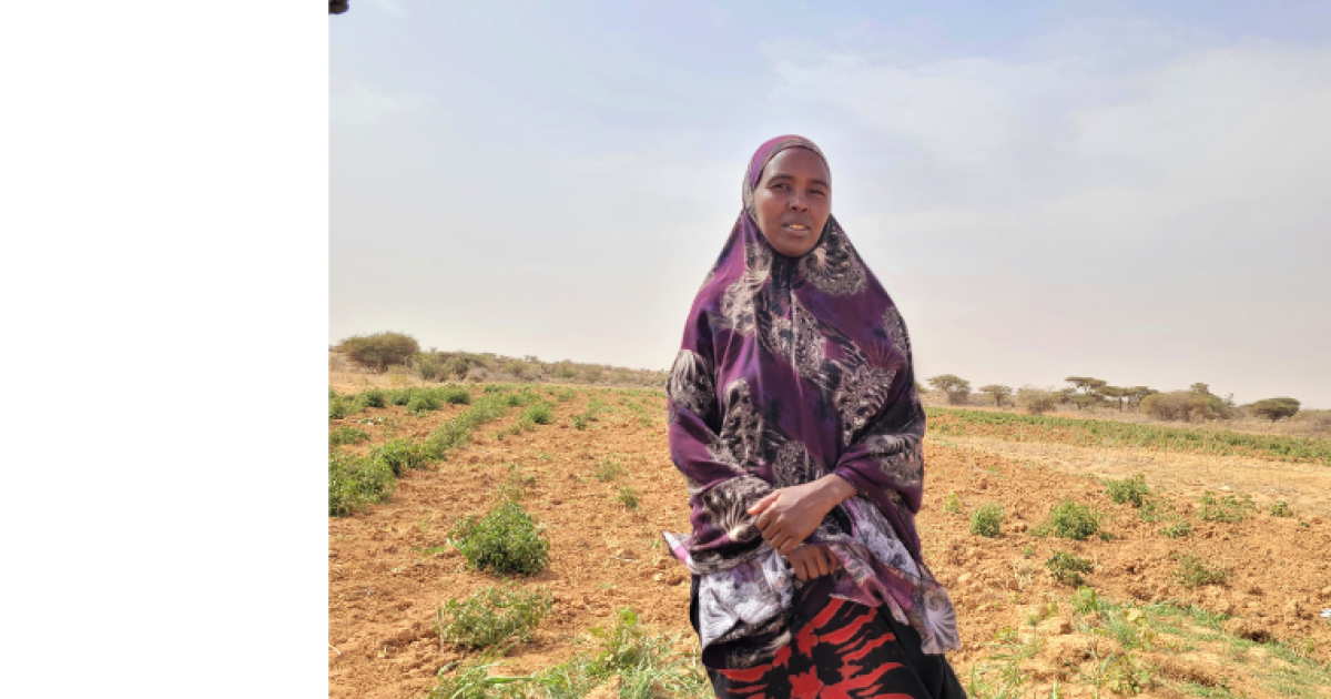 Drought in Somalia: 