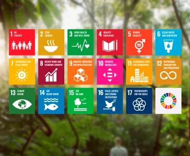 The 17  SDGs