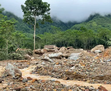 forest, rocks, typhoon, water, muddy area