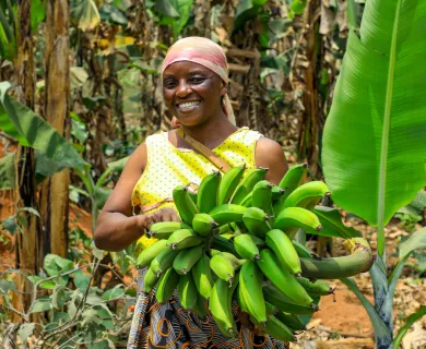 Woman wearing yellow shirt holding green bananas in plantation